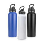 Double Wall Stainless Steel Water Bottle
