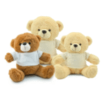 Custom Promotional Teddy Bears with Printable T-Shirt - 28cm