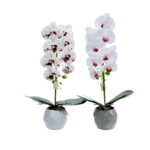 12 Sets Artificial Phalaenopsis Orchid 2-Piece Set in Geometric Pots (55 cm)