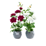 12 Sets Artificial Rose Flower Set in Geometric Pot (55 cm)