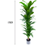 4 Pieces Artificial Green Dracaena Tower (170 cm)