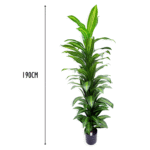 4 Pieces Artificial Variegated Dracaena Tree (190 cm)