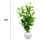 6 Pieces Artificial Leafy Green Tabletop Plant