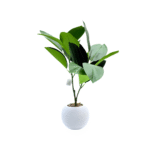 6 Pieces Artificial Rubber Plant Set in White Bowl Pot (65 cm)