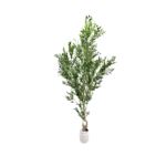 Artificial Giant Olive Tree Set Of 2 Pieces