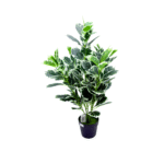 Artificial Variegated Plant Set Of 6 Pieces