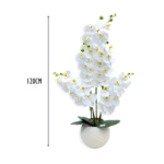 Quantity 4 Pieces per Set Height 120 cm Floral Style Multi-stem White Phalaenopsis