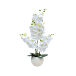 Quantity 4 Pieces per Set Height 120 cm Floral Style Multi-stem White Phalaenopsis