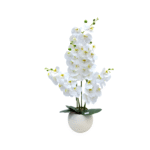 Artificial White Phalaenopsis Orchid Set Of 4 Pieces