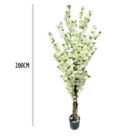 Set of 4 Artificial White Cherry Blossom Tree (200 cm)