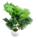 Set of 6 Artificial Fan Palm Simulation Plant (60 cm)