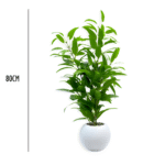 Set of 6 Artificial Olive & Ficus Simulation Plants (80 cm)