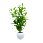 Set of 6 Artificial Olive & Ficus Simulation Plants (80 cm)