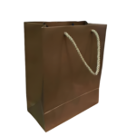 Premium Brown Paper Gift Bag (26x21x11 cm) | Set of 12