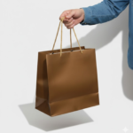 Premium Brown Paper Gift Bag (28x25x20 cm) | Set of 12
