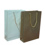 Premium Medium Paper Gift Bags (36x25x8 cm)