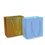 Premium Small Paper Gift Bags (15x14.5x7 cm) | Set of 12